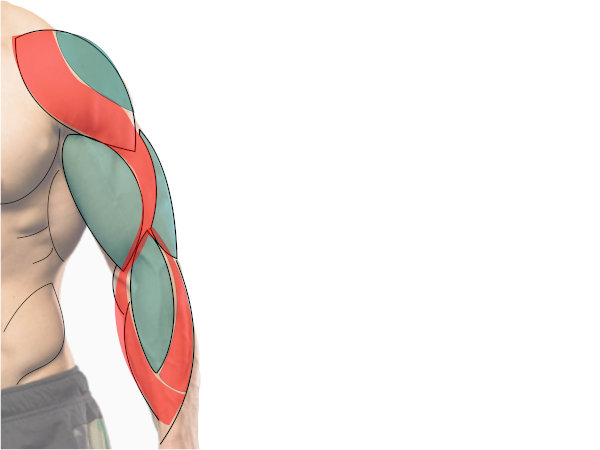 Flow lines for an arm tattoo Flow lines for an arm tattoo