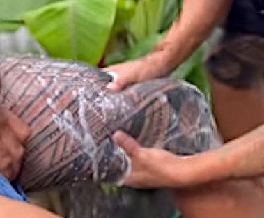 Tufuga ta tatau tattoo master